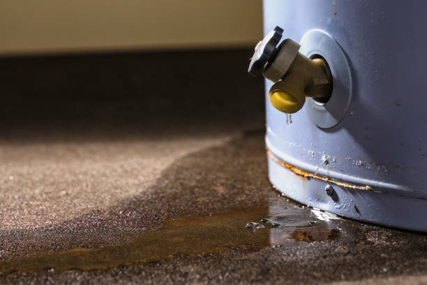 Best Water damage contractors near me  in Algonquin, MD