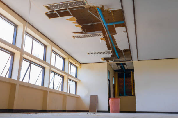 Best Water damage cleanup near me  in Algonquin, MD