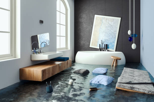 Best Professional water damage repair  in Algonquin, MD