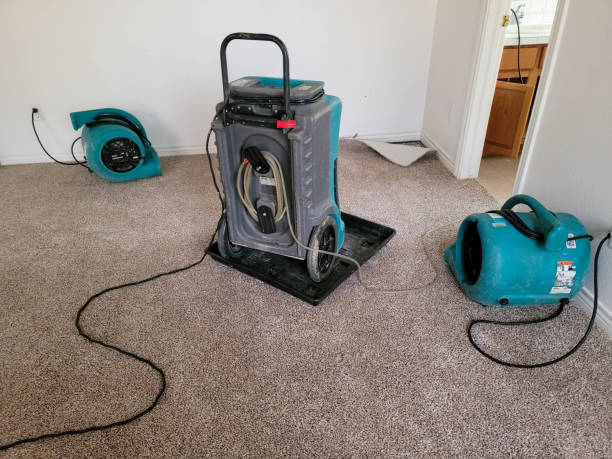 Best Emergency water damage restoration  in Algonquin, MD