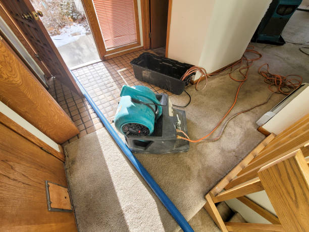 Best Water damage restoration services  in Algonquin, MD