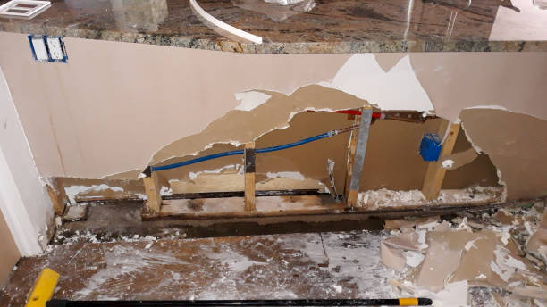 Best Water damage restoration experts  in Algonquin, MD