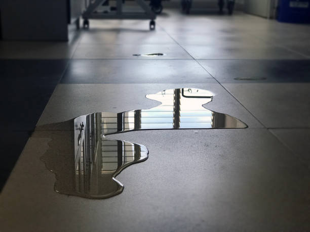 Best Water damage restoration near me  in Algonquin, MD