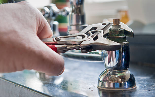 Best Flood damage cleanup  in Algonquin, MD