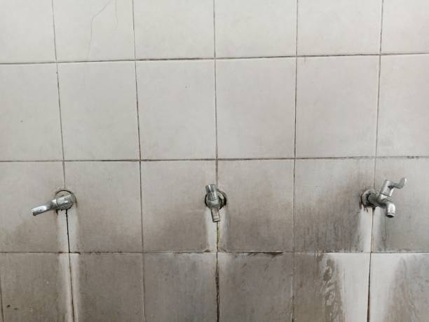 Best 24-hour water damage restoration  in Algonquin, MD