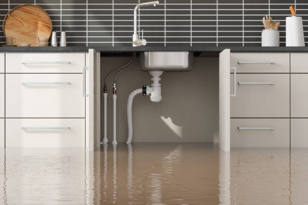 Best Water damage restoration cost  in Algonquin, MD