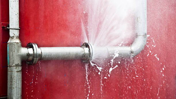 Best Residential water damage restoration  in Algonquin, MD