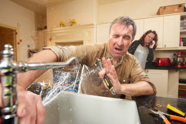 Best Basement water damage restoration  in Algonquin, MD
